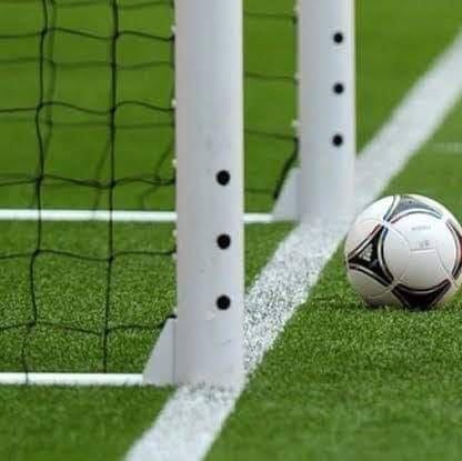 ملاعب كرة قدم الدمام مؤسسة الابرار لتنسيق الحدائق المنزلية